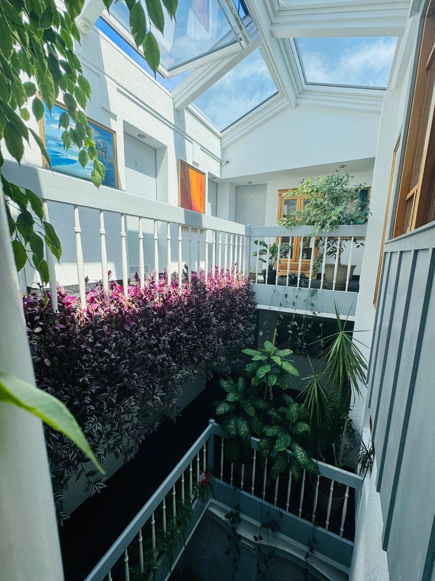 Villa Helvetia Târgu-Mureş Eksteriør bilde