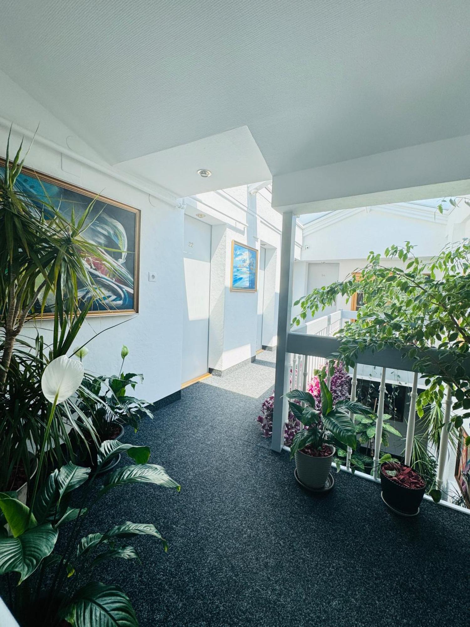 Villa Helvetia Târgu-Mureş Eksteriør bilde
